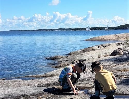 Erinomainen kompostikäymälä saarimökille